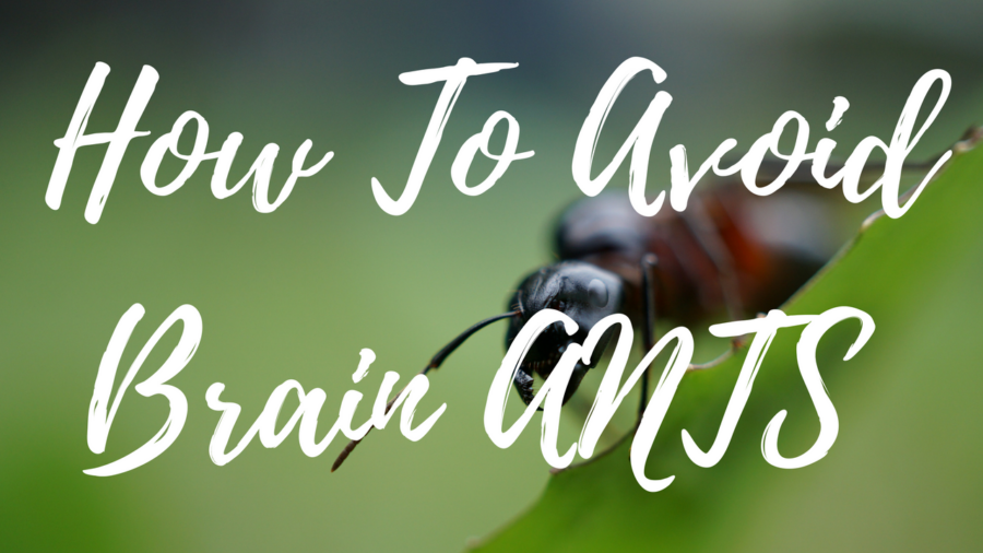 VIDEO: How To Avoid Brain ANTs